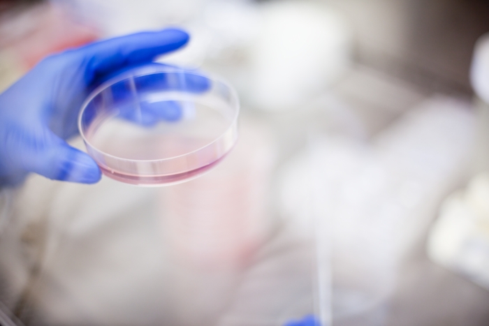 Lab