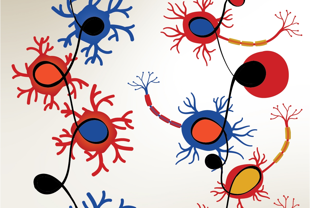 illustration of cells in the body